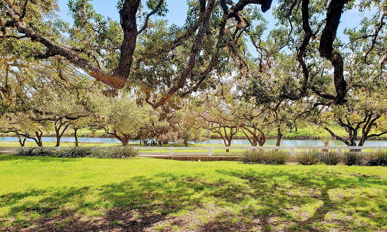 Orchard country along the Pedernales River near Stonewall, Texas