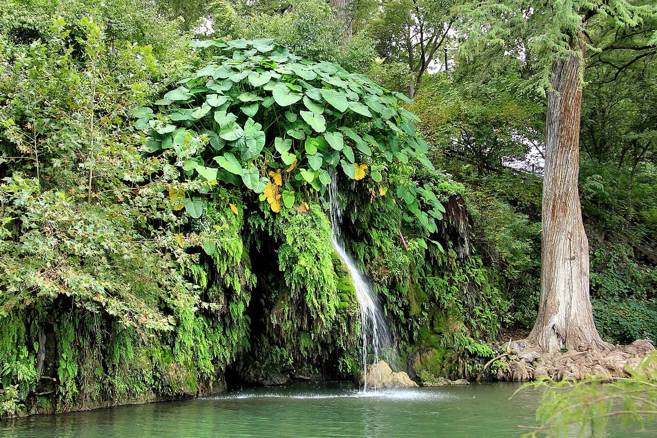 The natural pool at Krause Springs in Spicewood, Texas