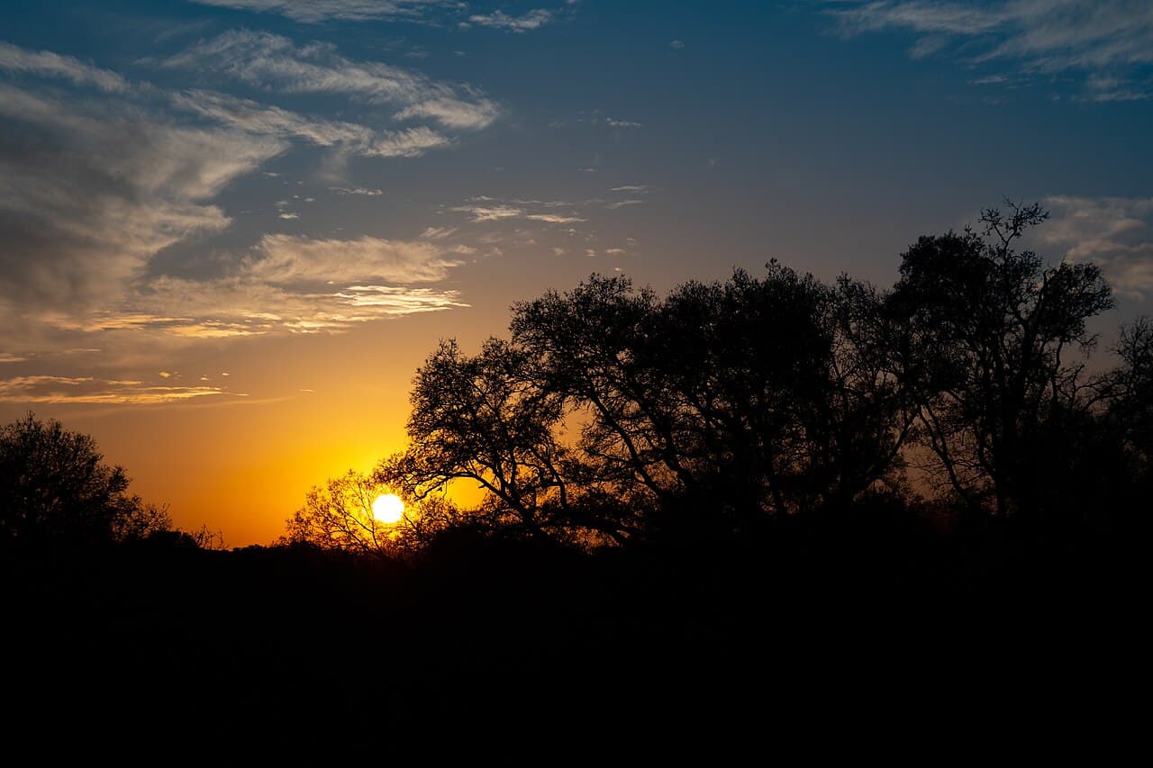 Sunset over Guadalupe River State Park near Spring Branch, Texas